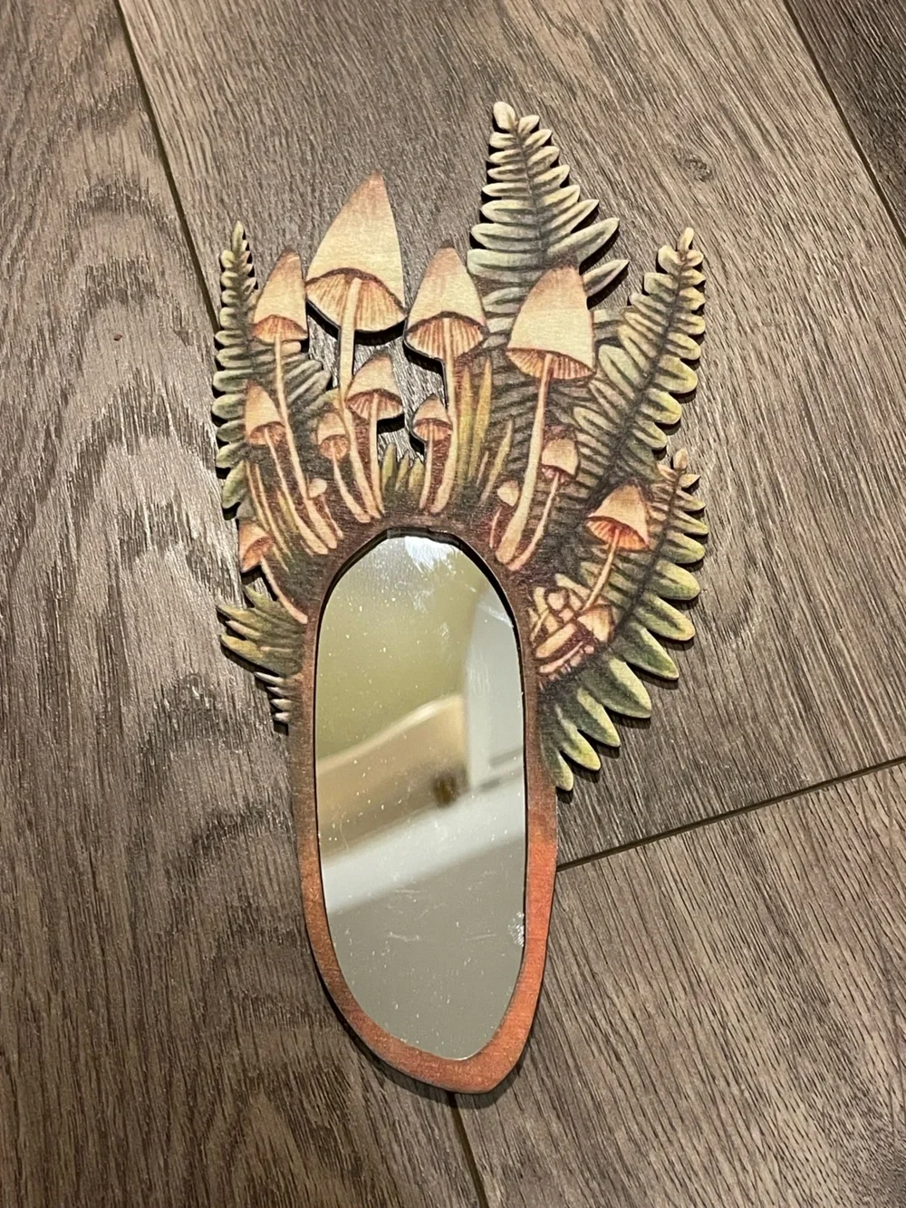Mushroom Design Mirror - Multi 🍄